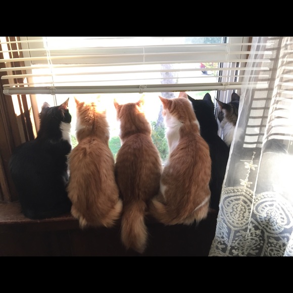 Welcome to my closet! - Picture 5 of 5